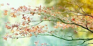 maitane's profile banner image