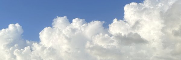 DWill1229610 Profile Banner