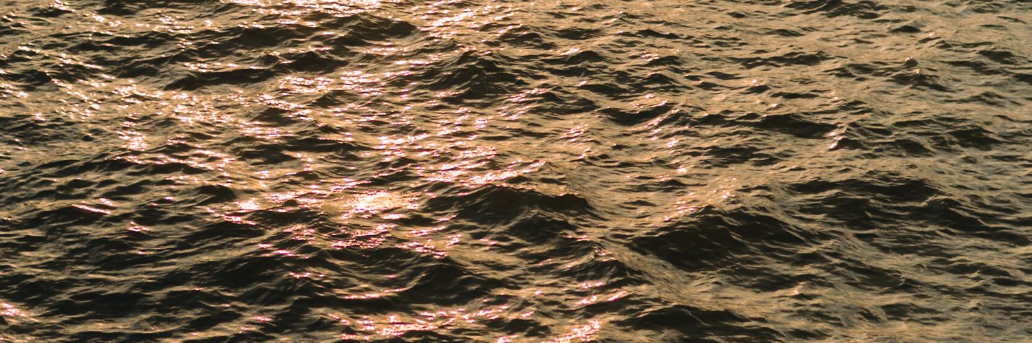 rnrnrnctctct's profile banner image