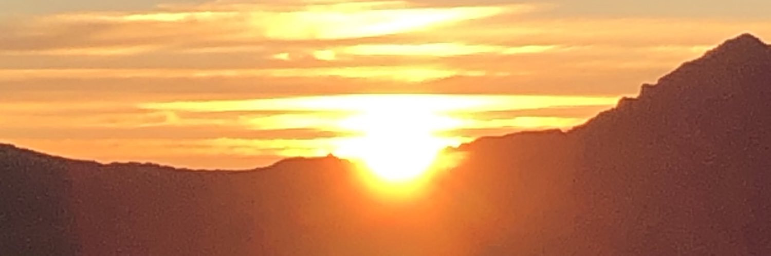 reesan2236's profile banner image