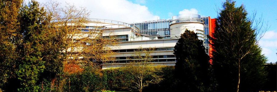 Faculty of Divinity banner