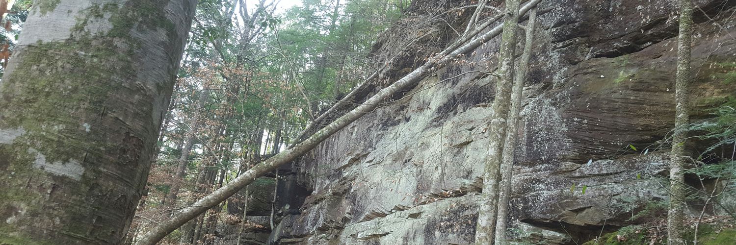 Katrina McGrady banner