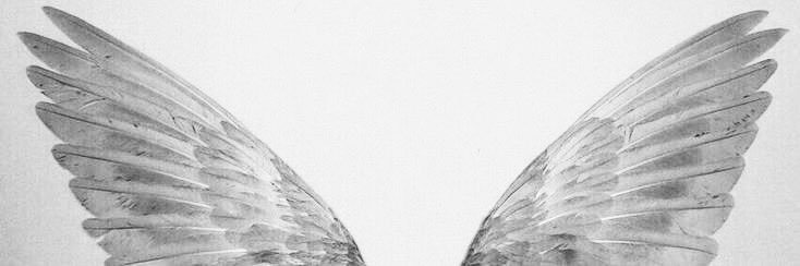 angeq's profile banner image