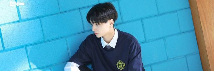 R A Y banner