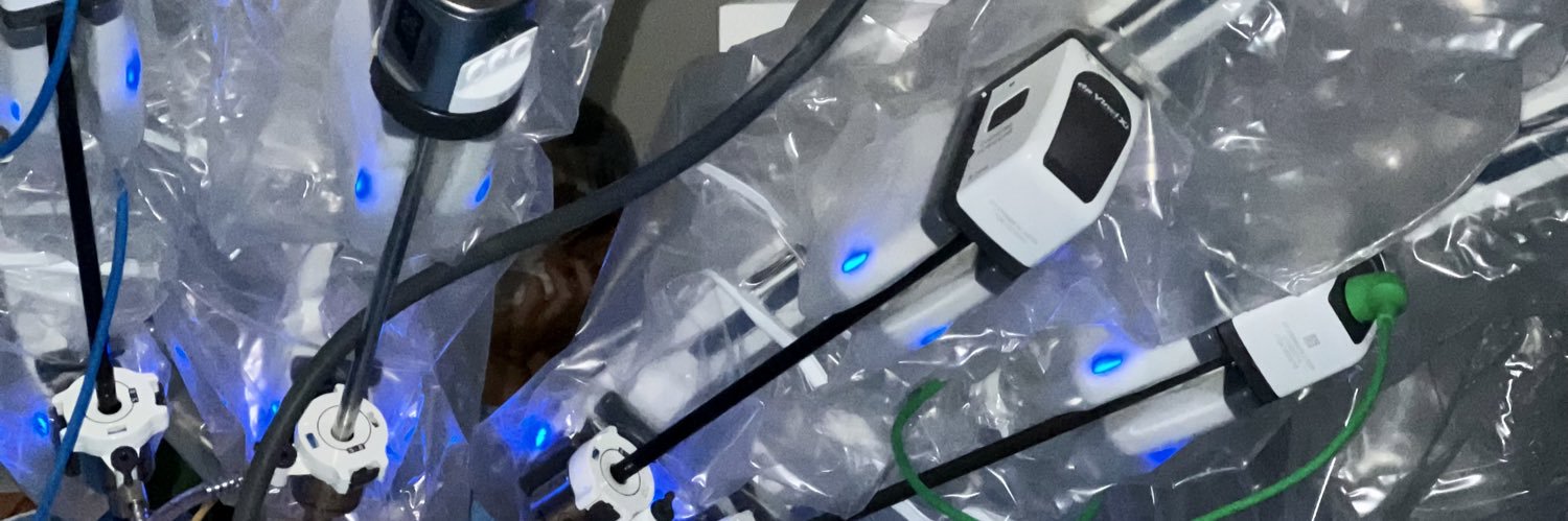 Tiago Borelli Bovo banner