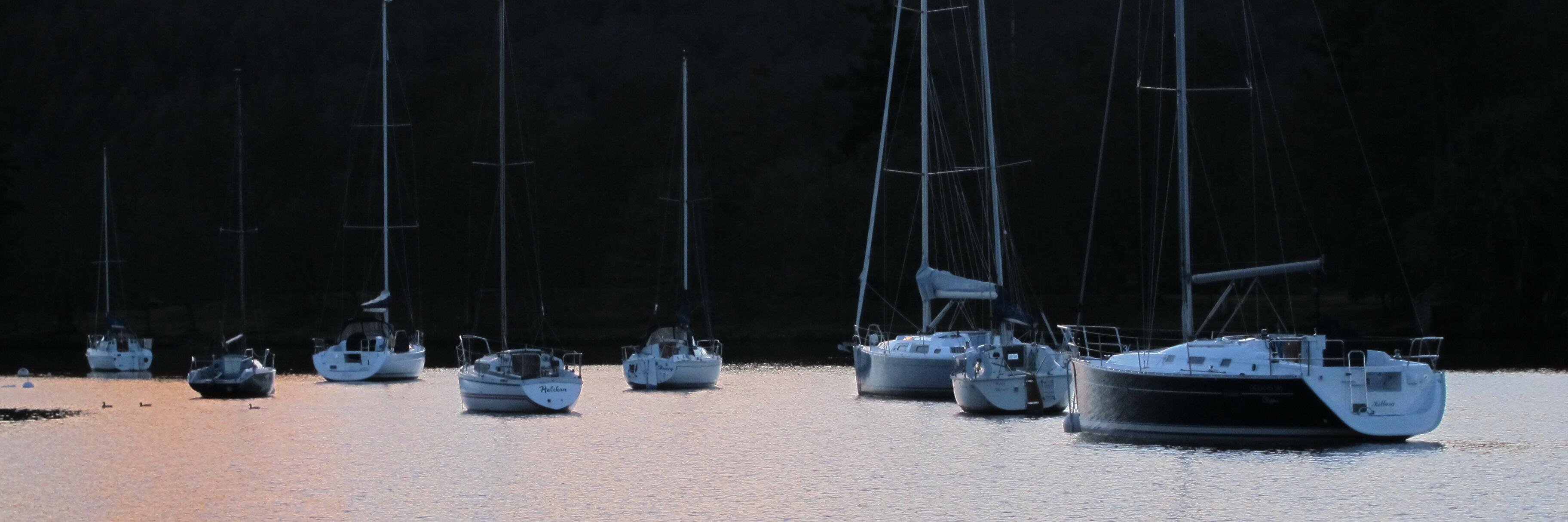 Bikramjit Ray banner