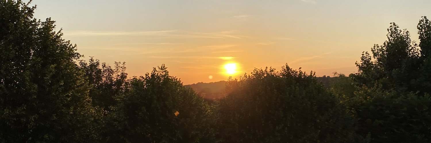 MaeligGesbert's profile banner image