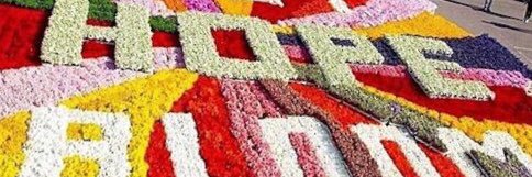 MarciaBaptist's profile banner image