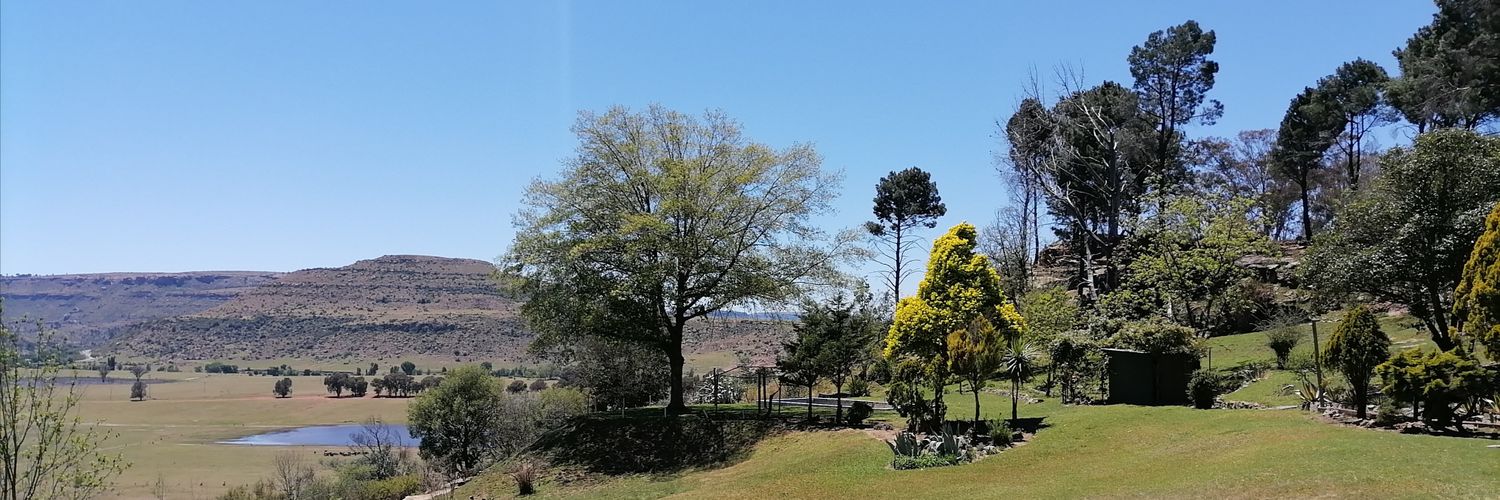 TseleTsoloane's profile banner image
