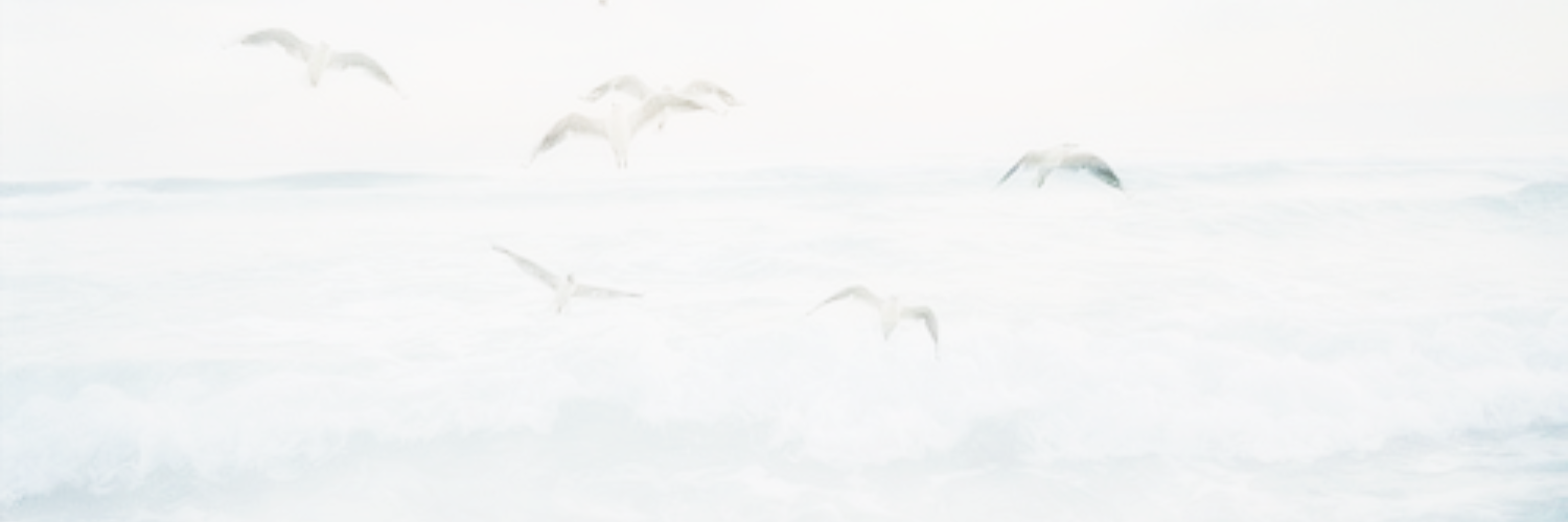 camilagnvgdr's profile banner image