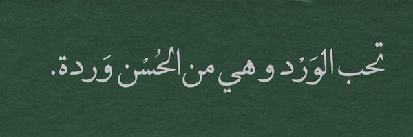ss_220o Profile Banner