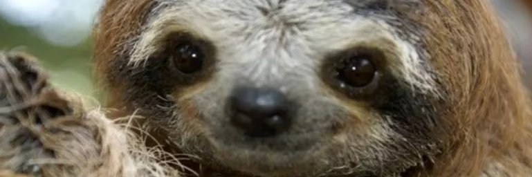 stuarlittlee's profile banner image