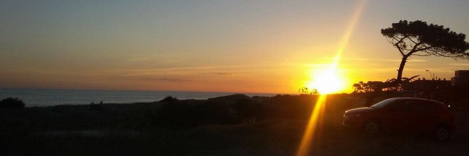 gabmordecki's profile banner image