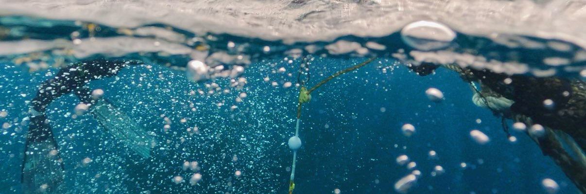 Chienhsiu 千秀 banner