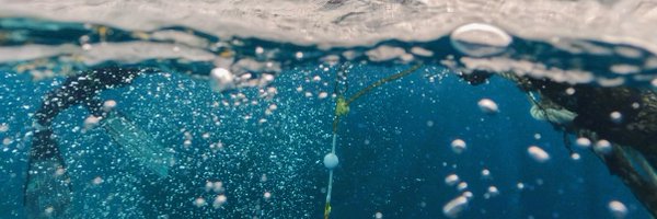 Chienh_ Profile Banner