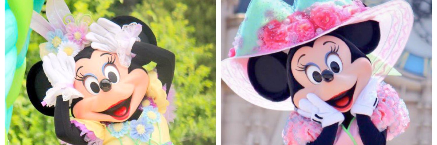 disney24m's profile banner image
