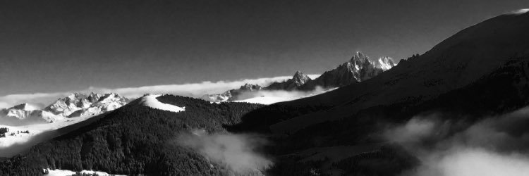 Simon Webster banner