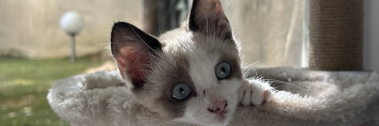 leilantm's profile banner image