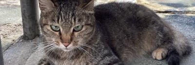 yojara11's profile banner image