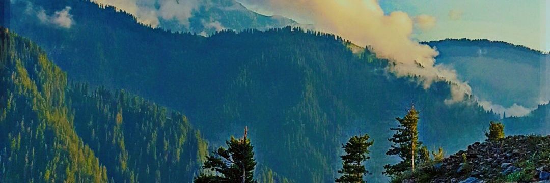 bhatabas1988's profile banner image