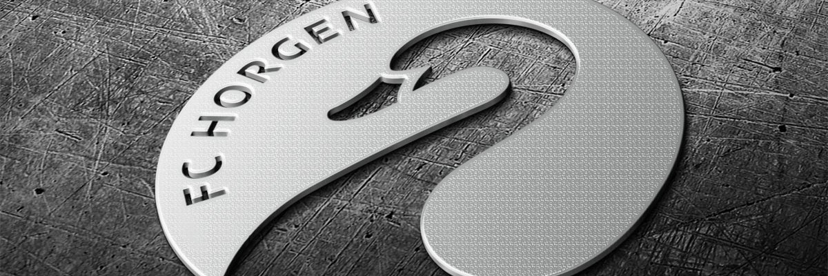 fchorgen's profile banner image
