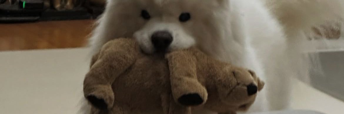 αмι𑁤.☘︎ ܁˖ banner