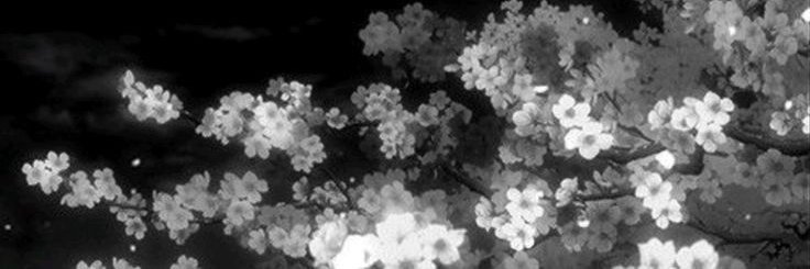 charme banner