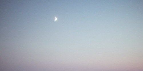 MirandaRPGMD's profile banner image