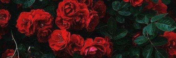 _AntoFarias's profile banner image