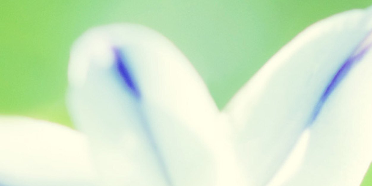 AAL_Bali's profile banner image