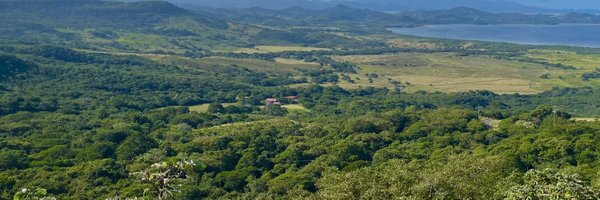 _willharp Profile Banner