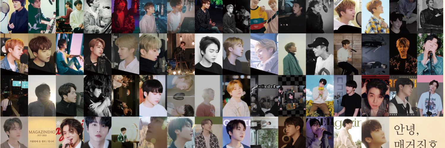 똥글🐯 banner