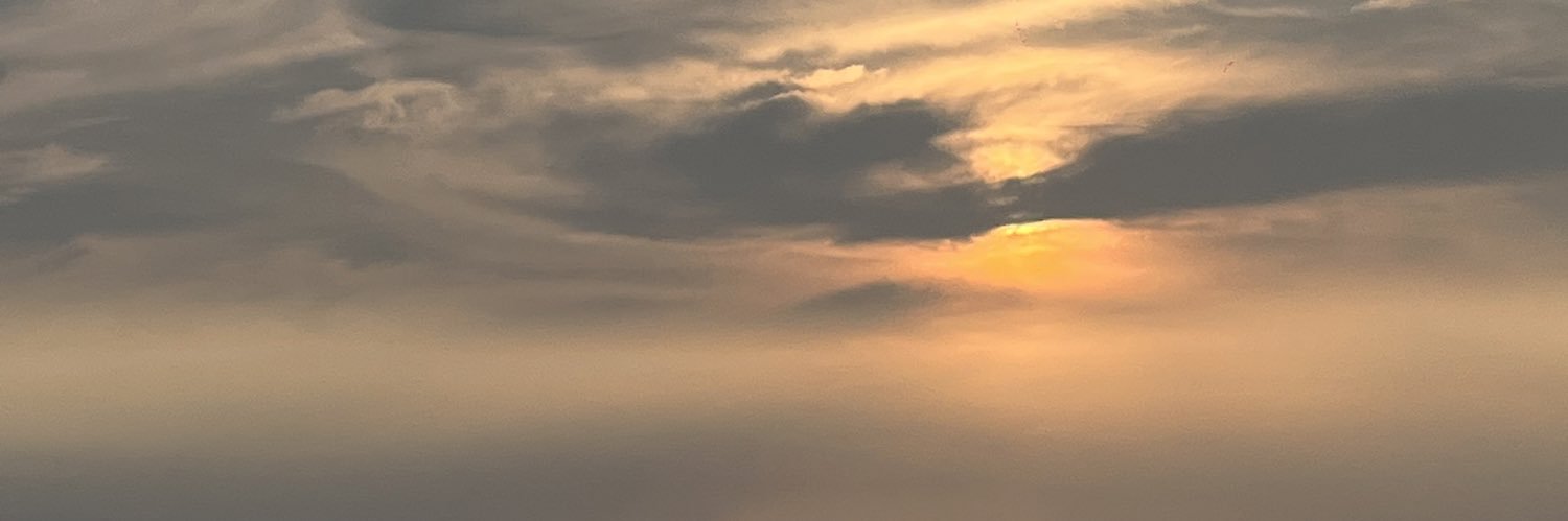 w banner