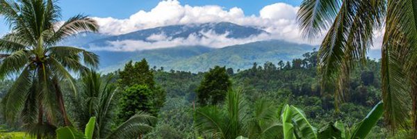 realKalgamer710 Profile Banner