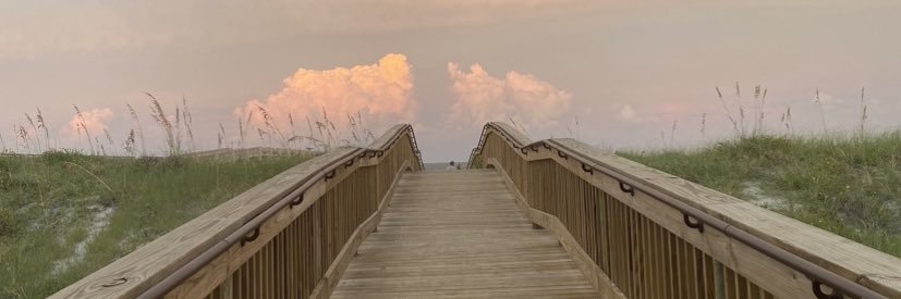 Cina Leneé (Writer) banner