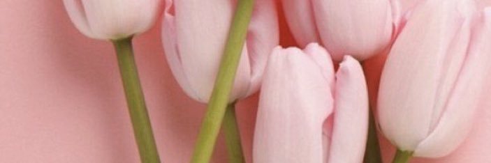kaitlinbraddss_'s profile banner image