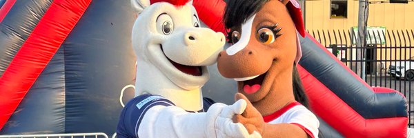 RubyRumblePony Profile Banner