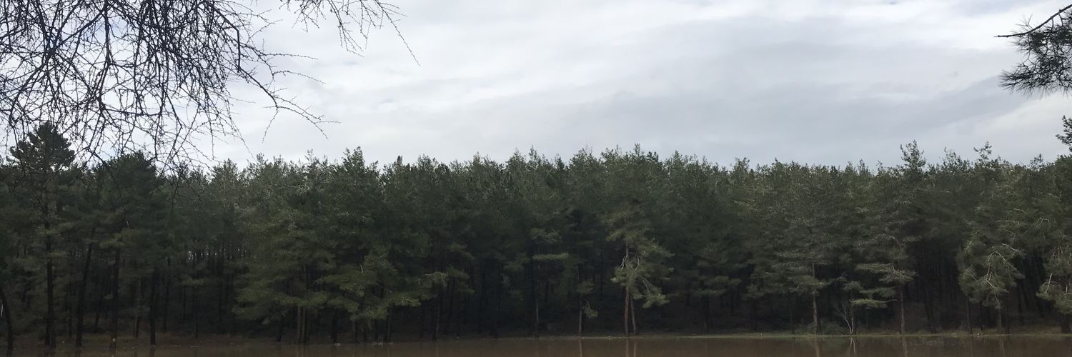 mismetbasboga's profile banner image