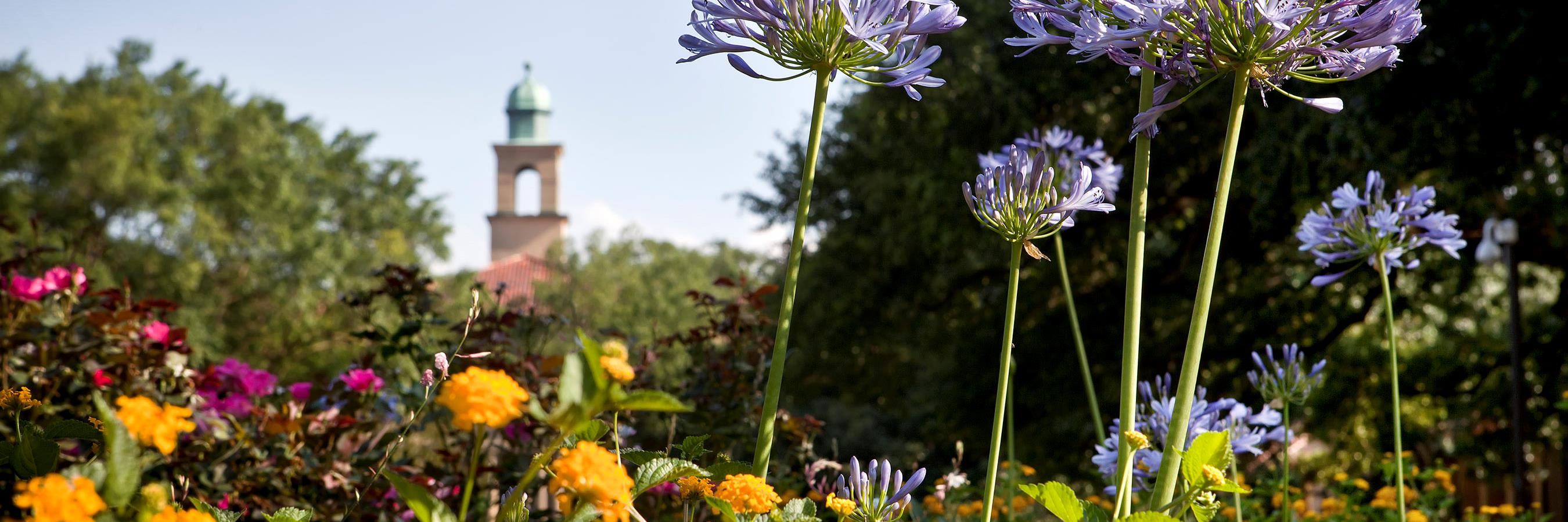 lsucoad's profile banner image