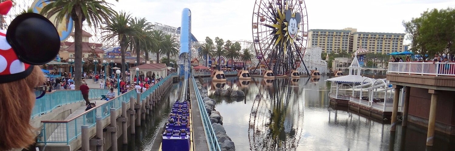 Dr. Kathryn Woodcock banner