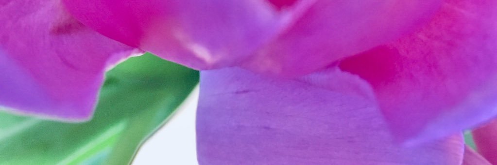 danicavaill's profile banner image