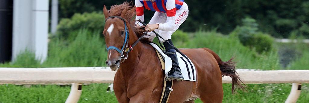 メルズーガの命を無駄にしないでほしい banner