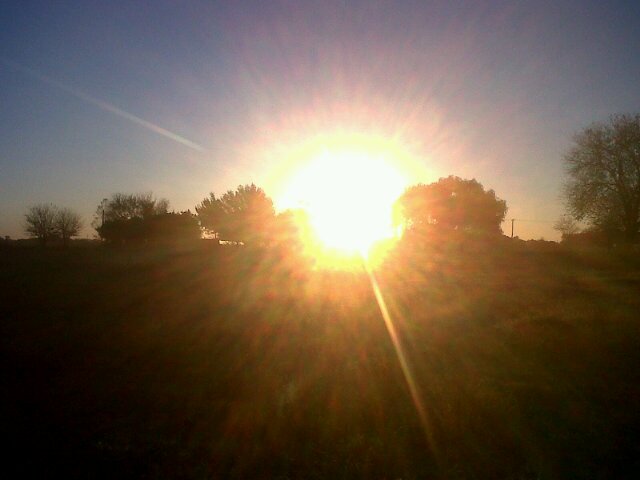 Racing o nada banner