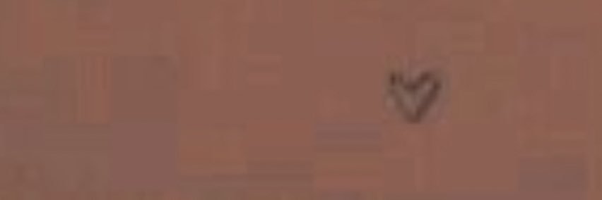 (seller) veena ~ tele & snap banner