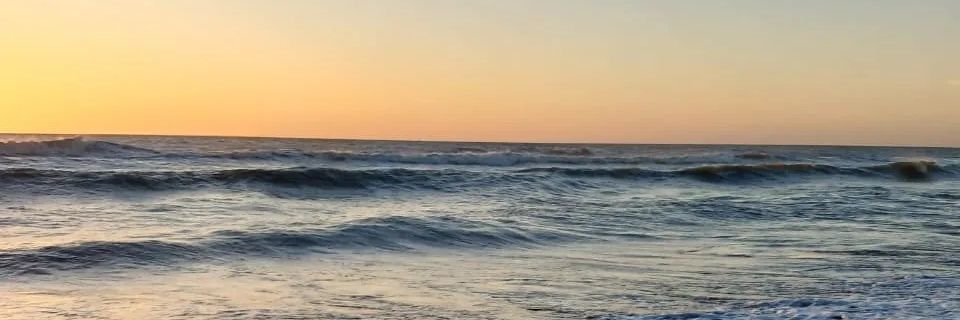 delfiioliver's profile banner image