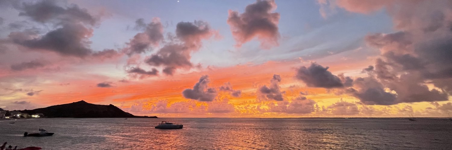 Robinecursio's profile banner image