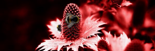 StaticSwitchOff Profile Banner