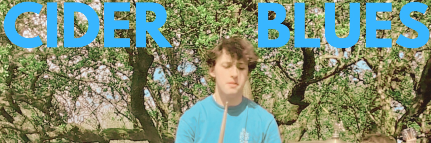 OceanViewsBand banner