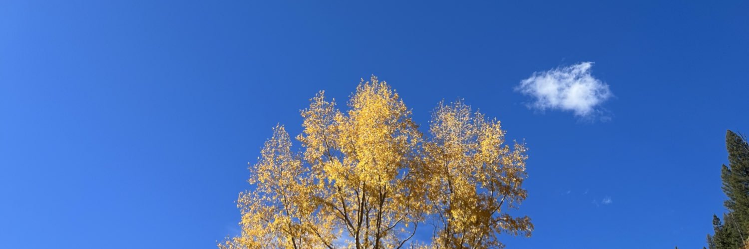 jucade26's profile banner image