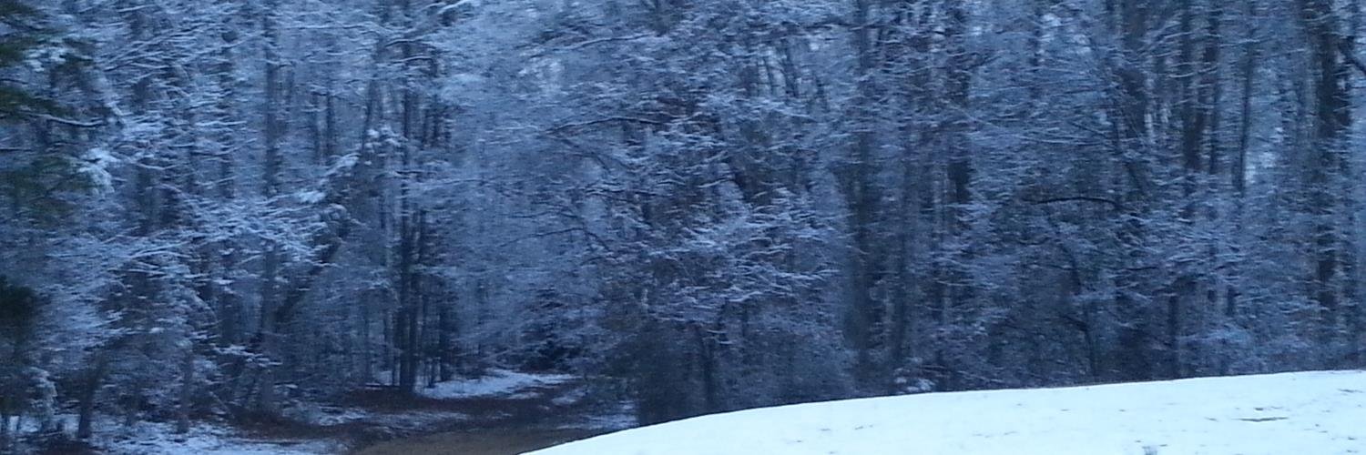 RareMoney1's profile banner image
